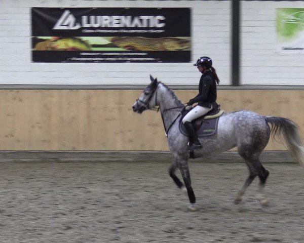 Reitturnier Salzkotten 2023