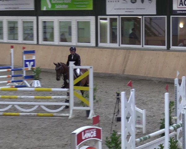 Reitturnier Salzkotten 2023