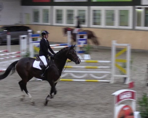 Reitturnier Salzkotten 2023