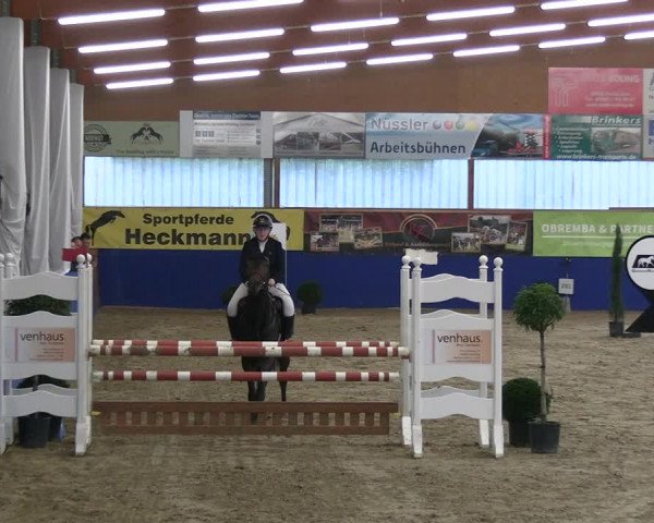 Reitturnier Isterberg 2023