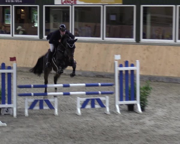 Reitturnier Salzkotten 2023