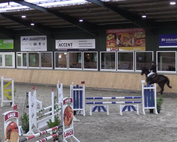 Reitturnier Salzkotten 2023