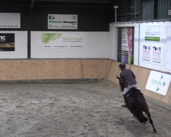 Reitturnier Salzkotten 2023
