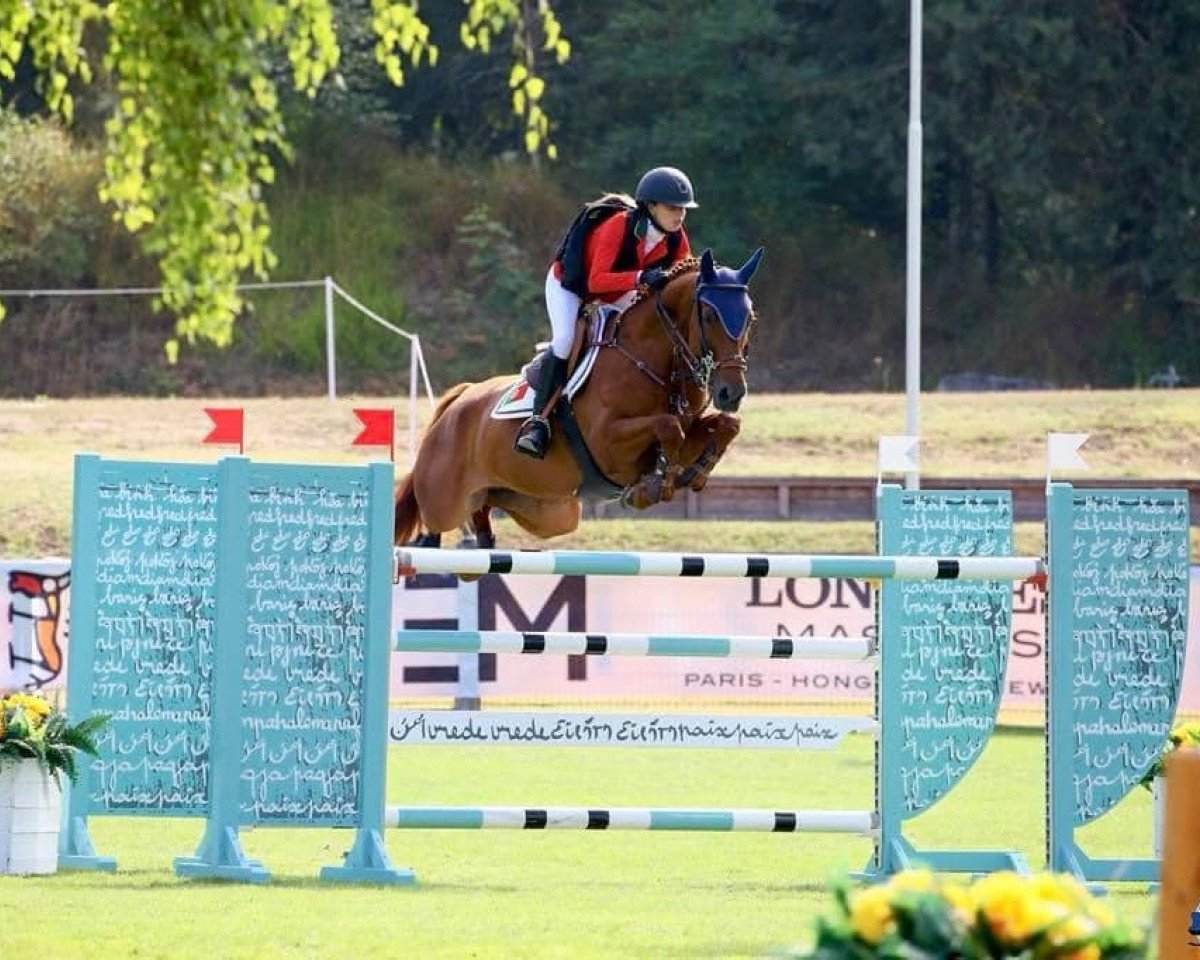 jumper El Tintoreta T (Cruzado-Portugues, 2009, from Tintoretto)