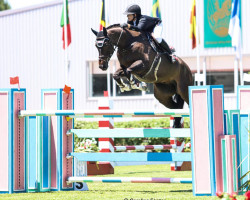 jumper Copin's Boy (Belgium Sporthorse, 2013, from Hh Copin van de Broy)