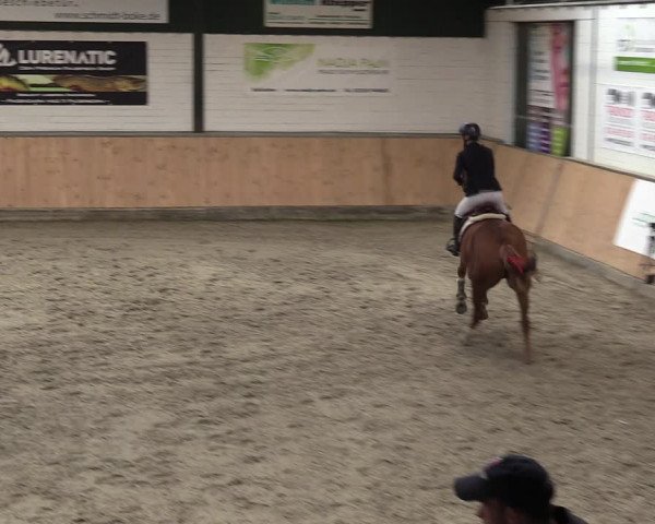 Reitturnier Salzkotten 2023