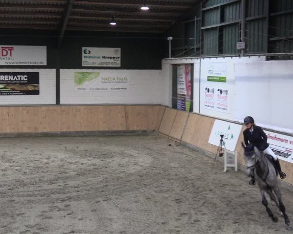Reitturnier Salzkotten 2023