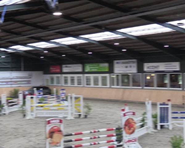 Reitturnier Salzkotten 2023