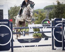 jumper O Blue Cl (Belgian Warmblood, 2014, from Zirocco Blue)