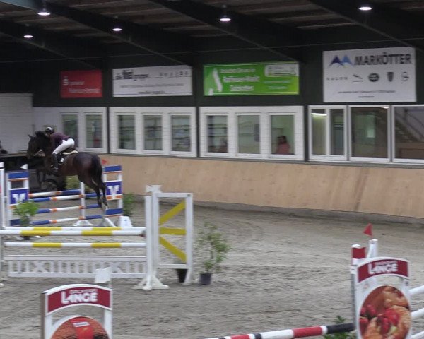 Reitturnier Salzkotten 2023