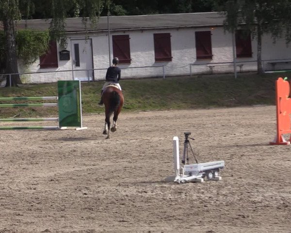Reitturnier Lgl.-Oberhain, B95 2021