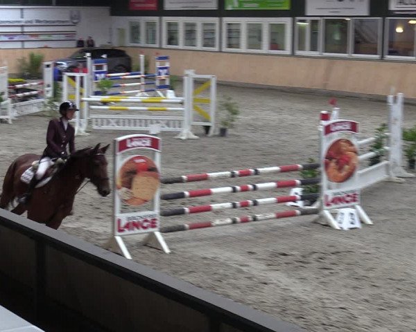 Reitturnier Salzkotten 2023
