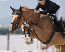 Springpferd Erste Ljh Z (Zangersheide Reitpferd, 2017, von Emerald van 't Ruytershof)