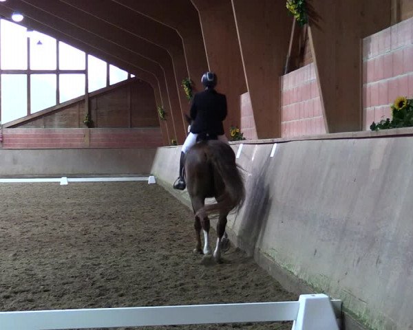 Reitturnier Dortmund-Barop 2021