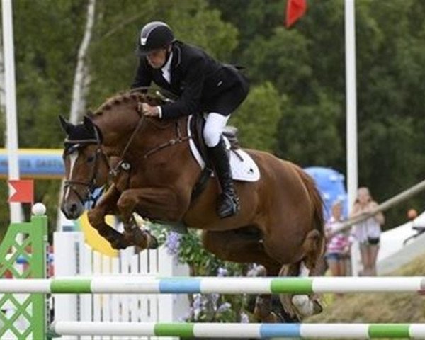 horse Tailormade Confidence (Oldenburg, 2000, from Cordalme Z)