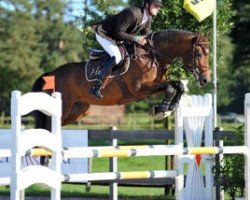 stallion Deister (Holsteiner, 2004, from Diamant de Semilly)