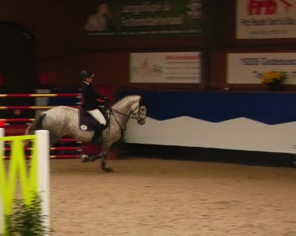 Reitturnier Gadebusch 2023