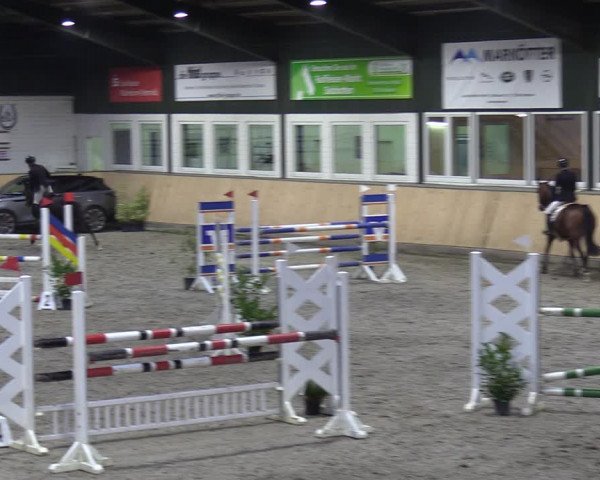 Reitturnier Salzkotten 2023
