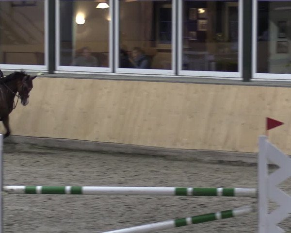 Reitturnier Salzkotten 2023