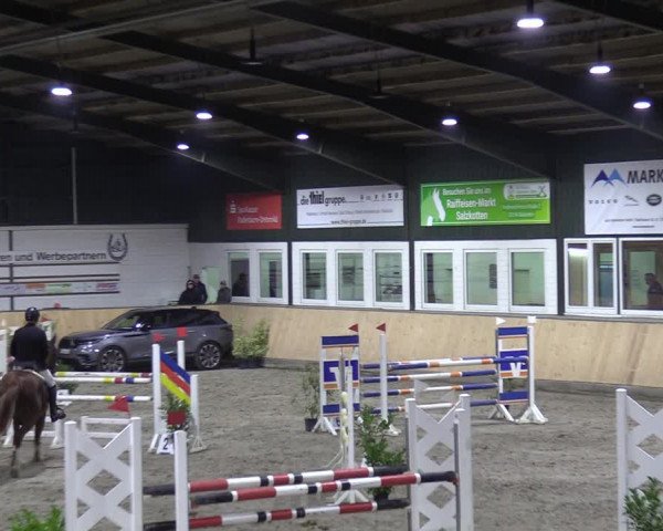 Reitturnier Salzkotten 2023
