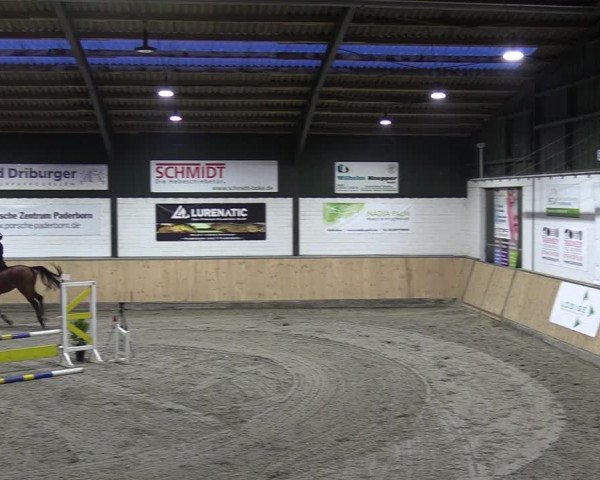 Reitturnier Salzkotten 2023