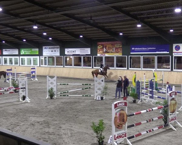Reitturnier Salzkotten 2023
