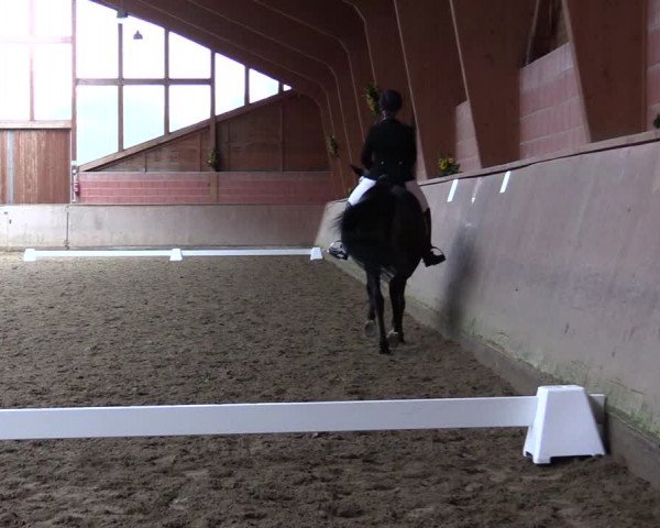 Reitturnier Dortmund-Barop 2021
