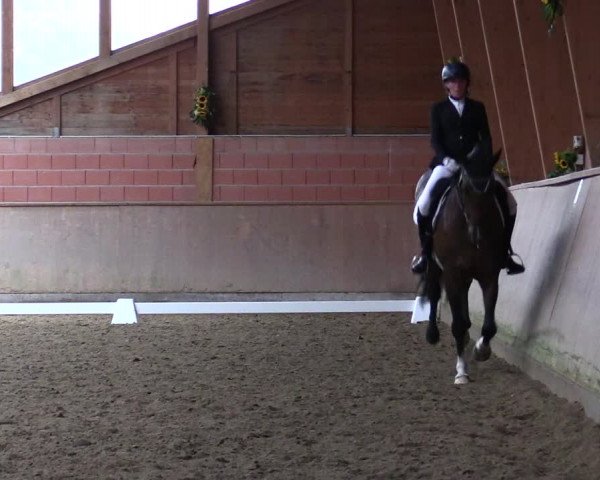 Reitturnier Dortmund-Barop 2021