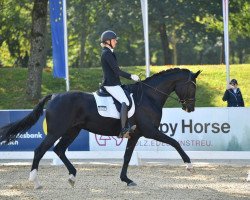 Cavallo da Dressage Fabienne 534 (Oldenburger, 2018, di Frascino)