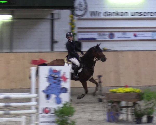 Reitturnier Salzkotten 2023