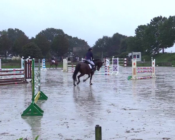 Reitturnier Schülp / Rendsburg 2023