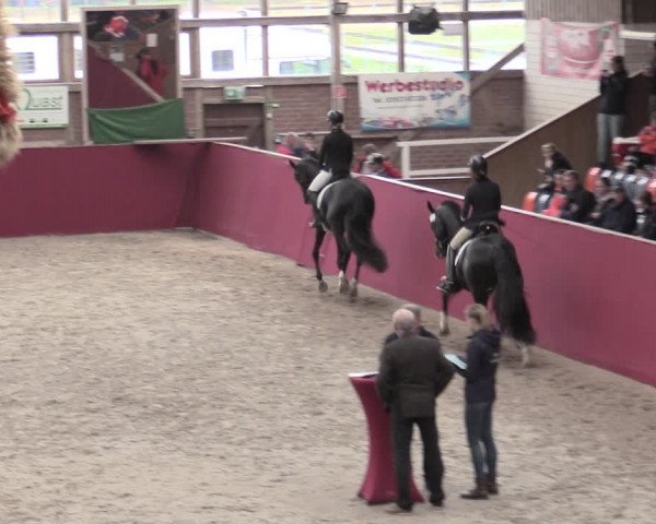Reitturnier Krumke 2023