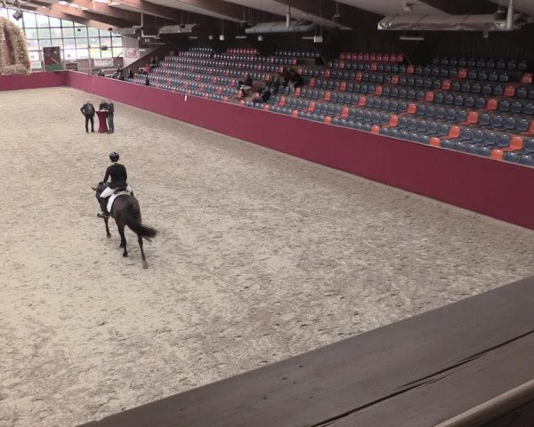 Reitturnier Krumke 2023