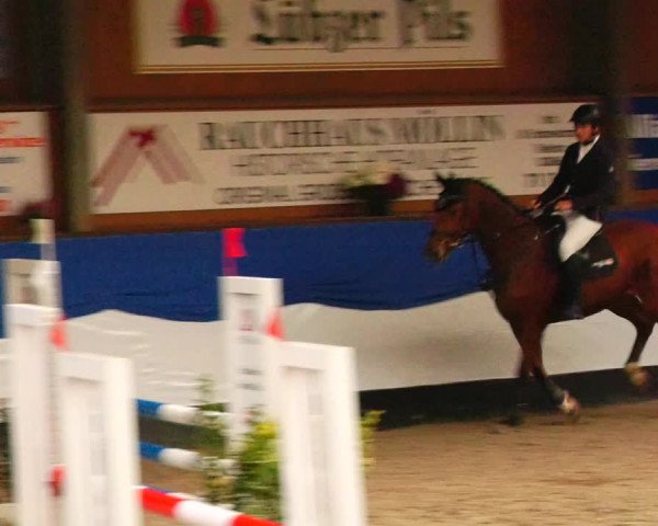 Reitturnier Gadebusch 2023