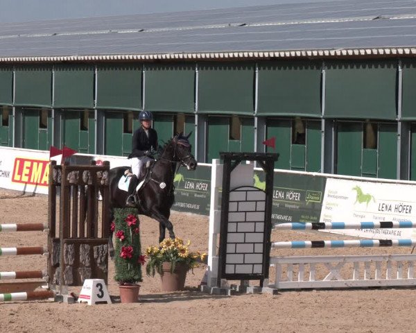 Reitturnier Ranshofen - Braunau am Inn 2023