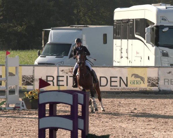 Reitturnier Ranshofen - Braunau am Inn 2023