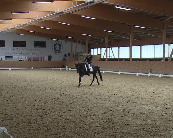 Reitturnier Grafenrheinfeld/Ufr. 2023