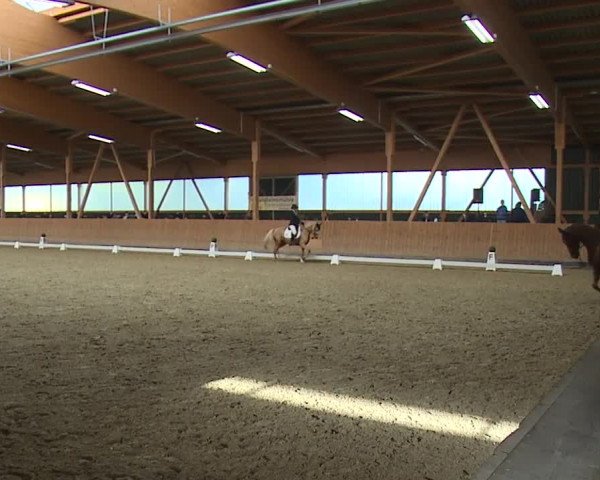 Reitturnier Grafenrheinfeld/Ufr. 2023