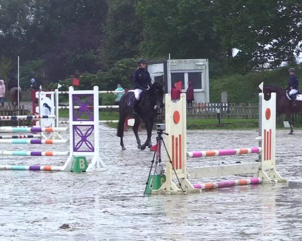 Reitturnier Schülp / Rendsburg 2023