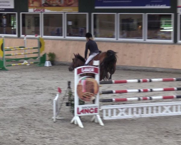 Reitturnier Salzkotten 2023