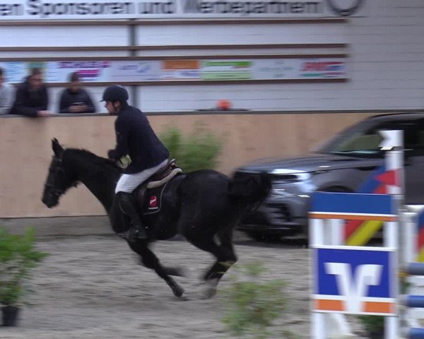 Reitturnier Salzkotten 2023