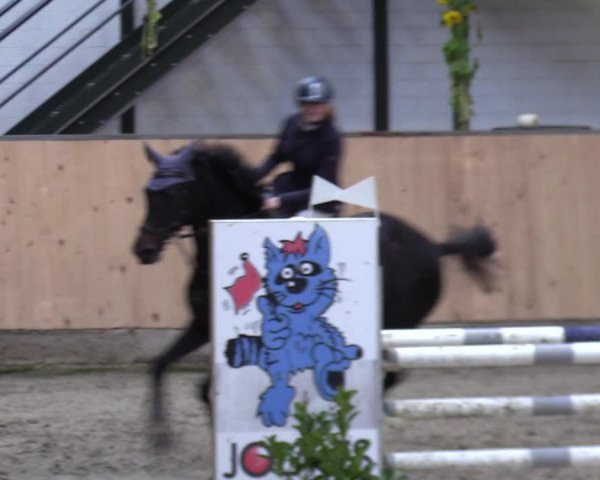 Reitturnier Salzkotten 2023