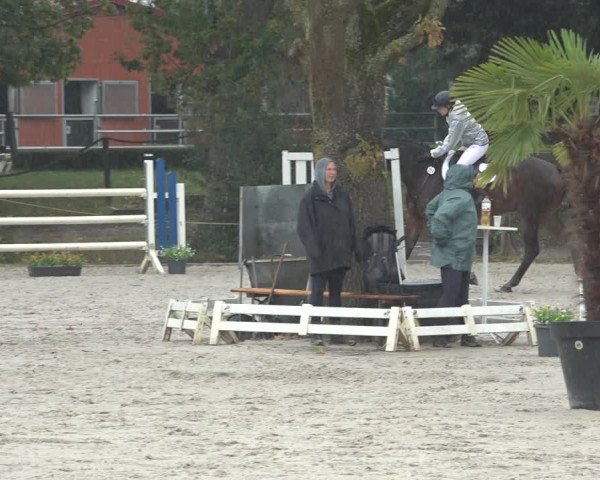 Reitturnier Handorf 2023