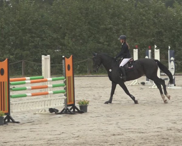 Reitturnier Handorf 2023