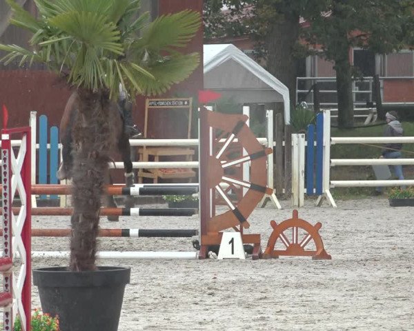 Reitturnier Handorf 2023