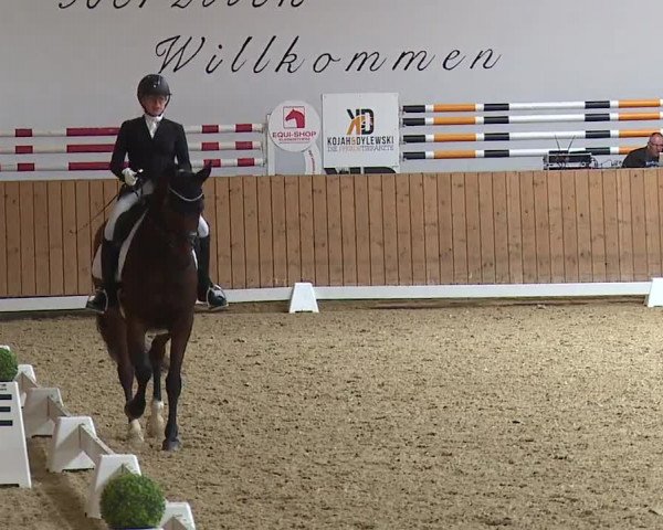 Reitturnier Grafenrheinfeld/Ufr. 2023