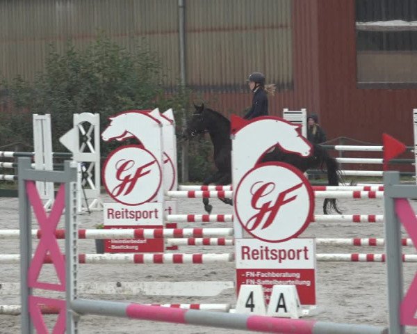 Reitturnier Handorf 2023