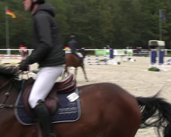 Reitturnier Essen - Herbstturnier 2023