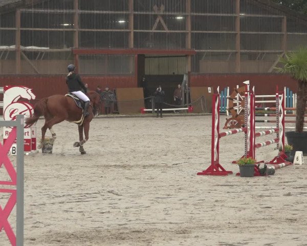 Reitturnier Handorf 2023