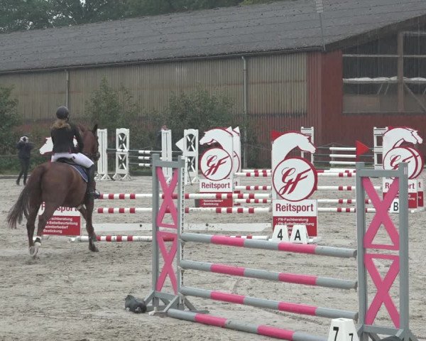 Reitturnier Handorf 2023